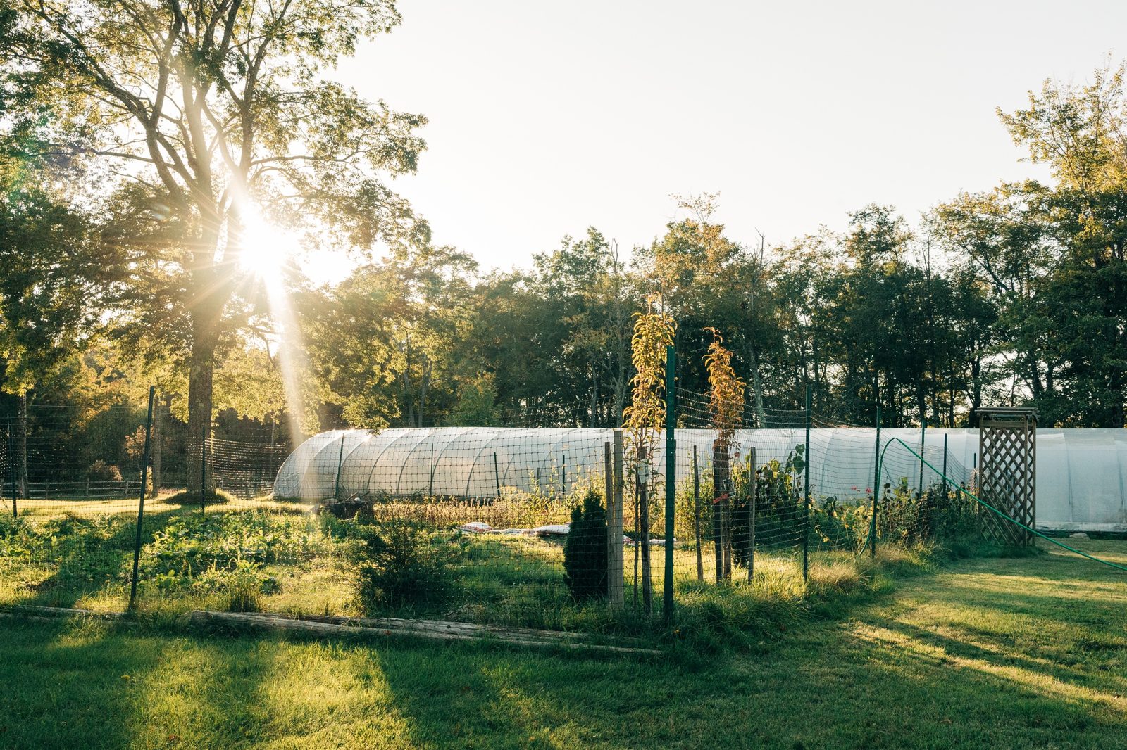 The 200 foot greenhouse at Namaste Catskills in the evening light