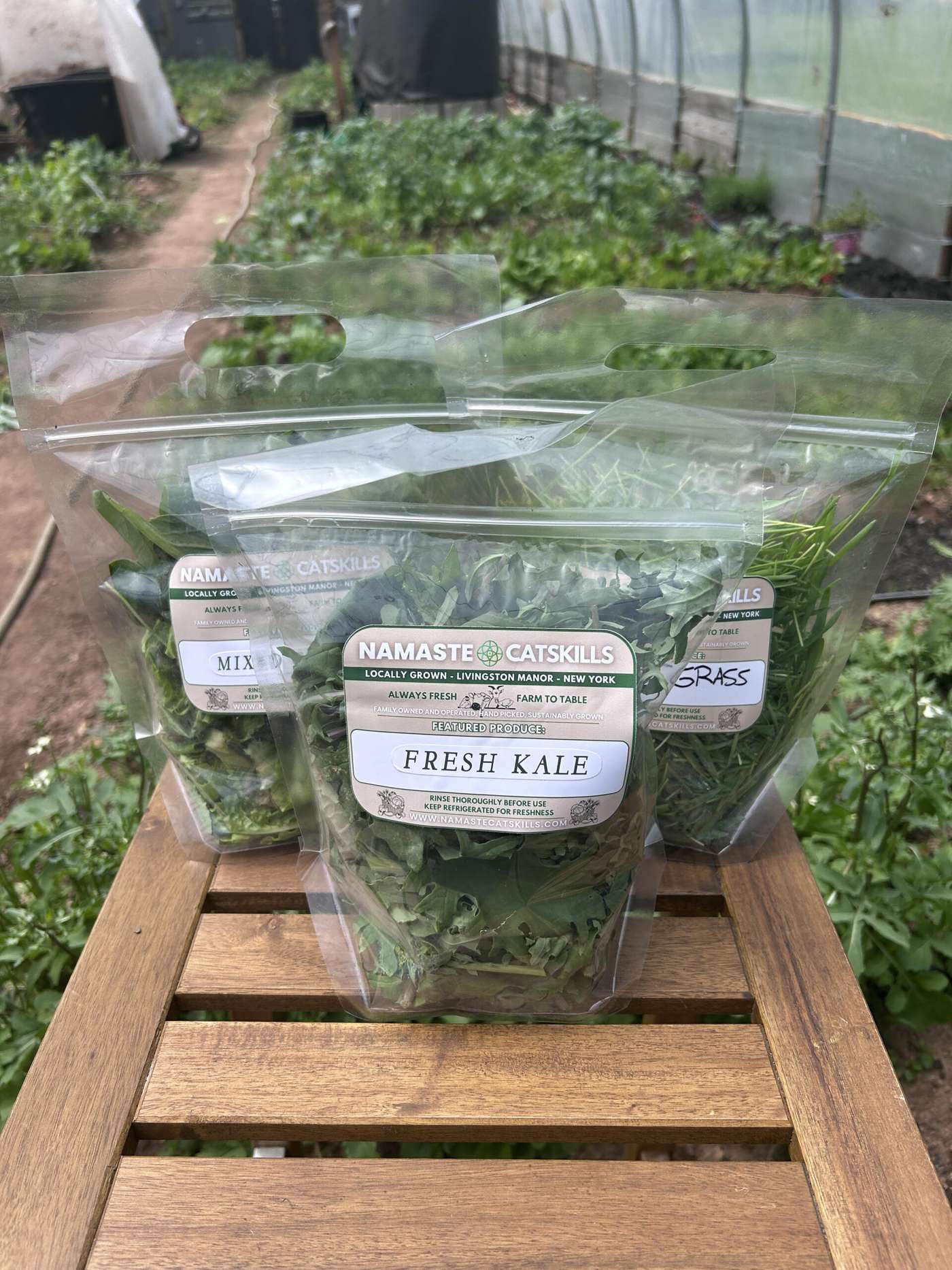 Bags of fresh kale and mixed greens grown in the Namaste Catskills greenhouse