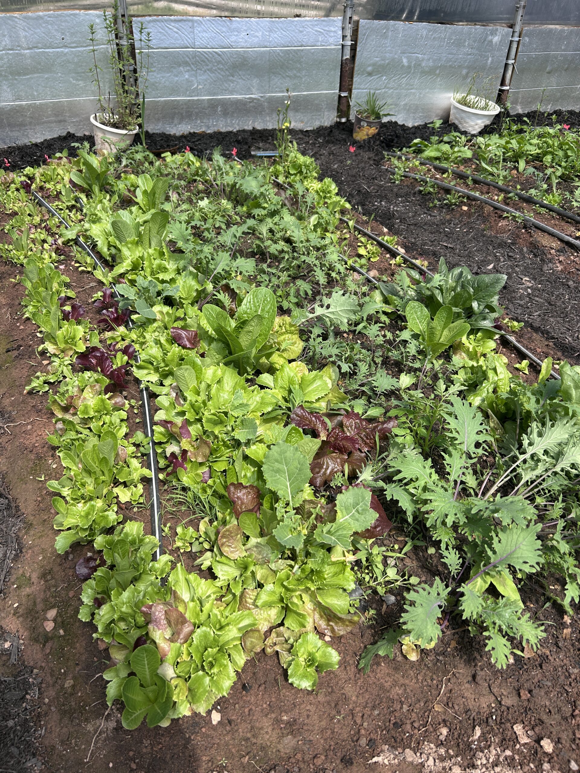 Farm display